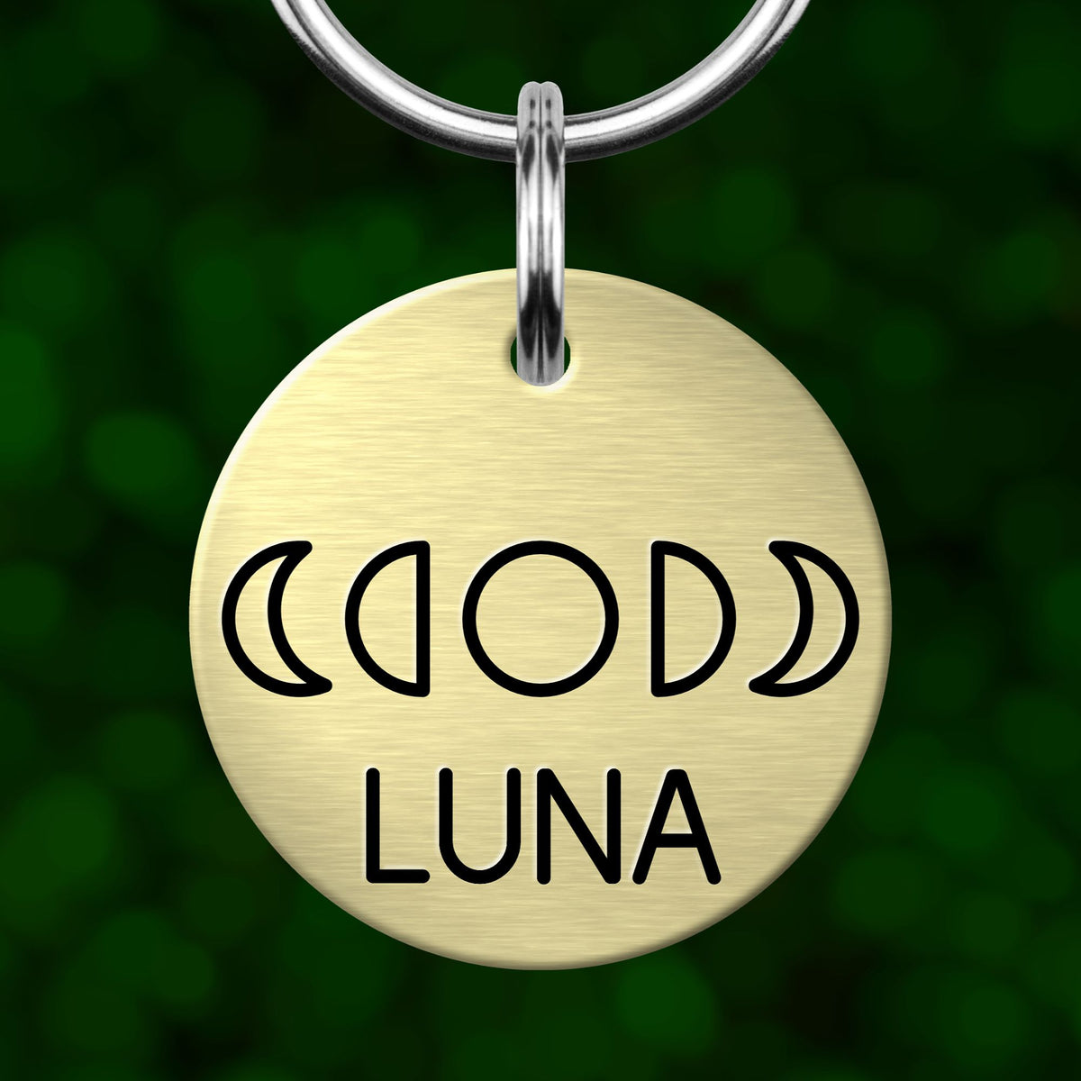 A round metal keychain tag with the name 'Luna' printed on it, set against a blurred green background.