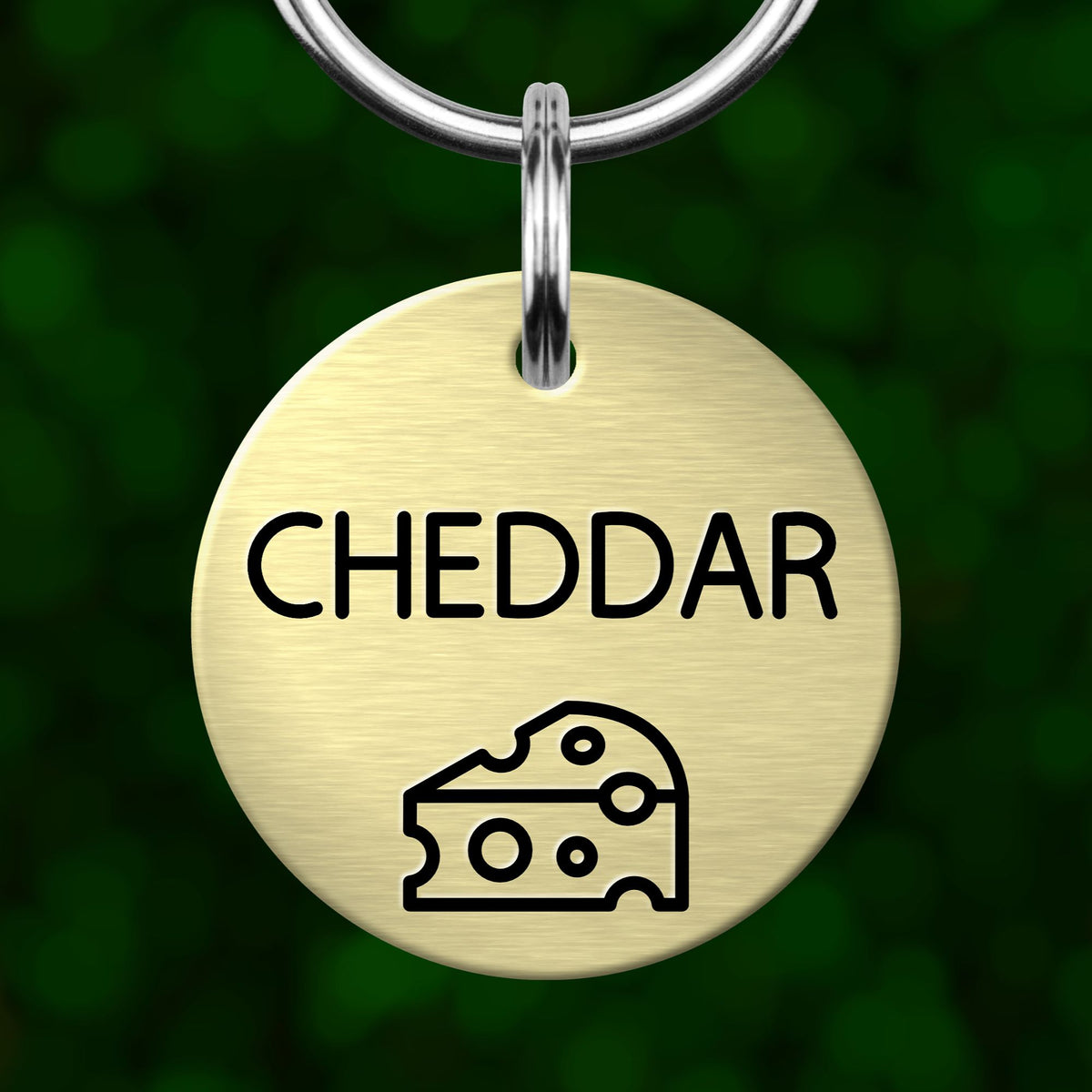 A round metal dog tag with the word "CHEDDAR" printed on it, along with a simple cheese icon.