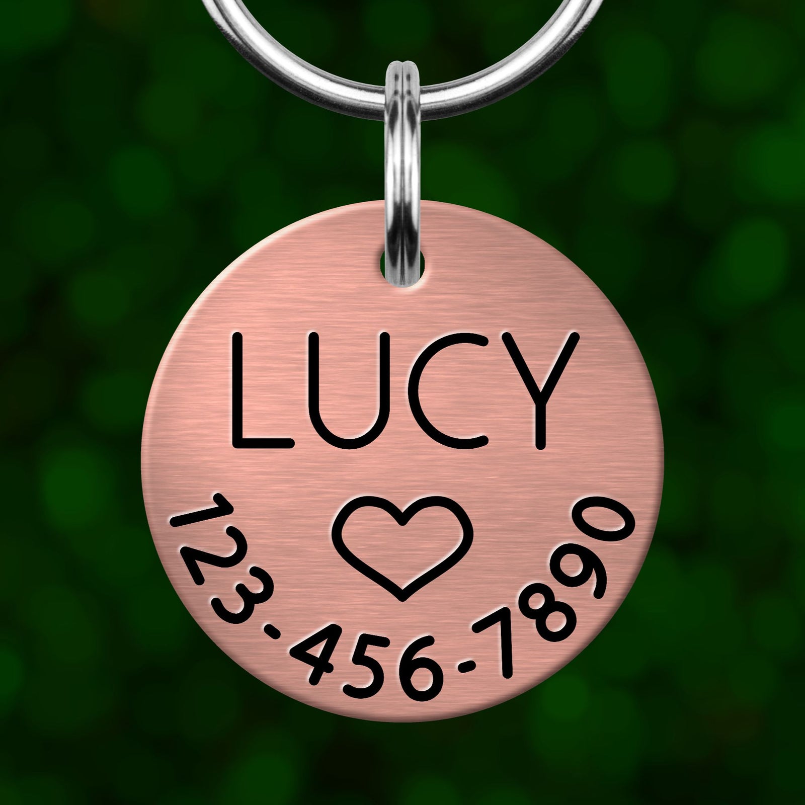 A copper-colored pet tag with the name "LUCY" and a heart symbol, along with the numbers "123-456-7890".