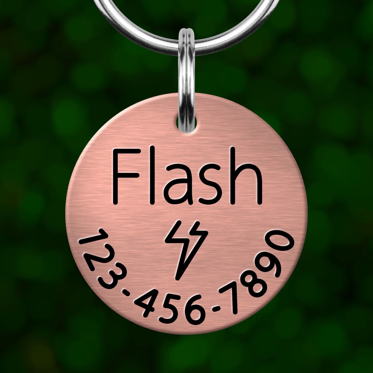 A copper-colored pet tag with the word "Flash" printed on it, along with a phone number.