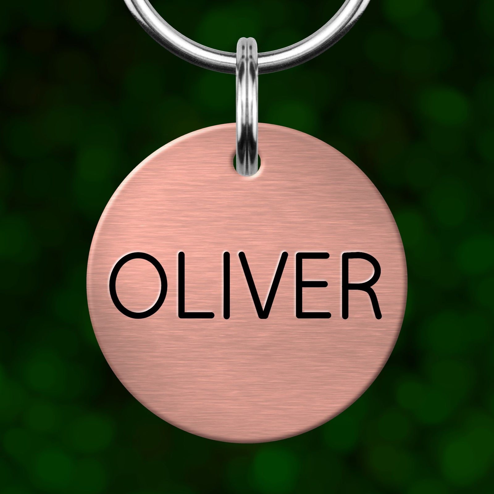 A round metal pet tag with the name "OLIVER" printed on it.