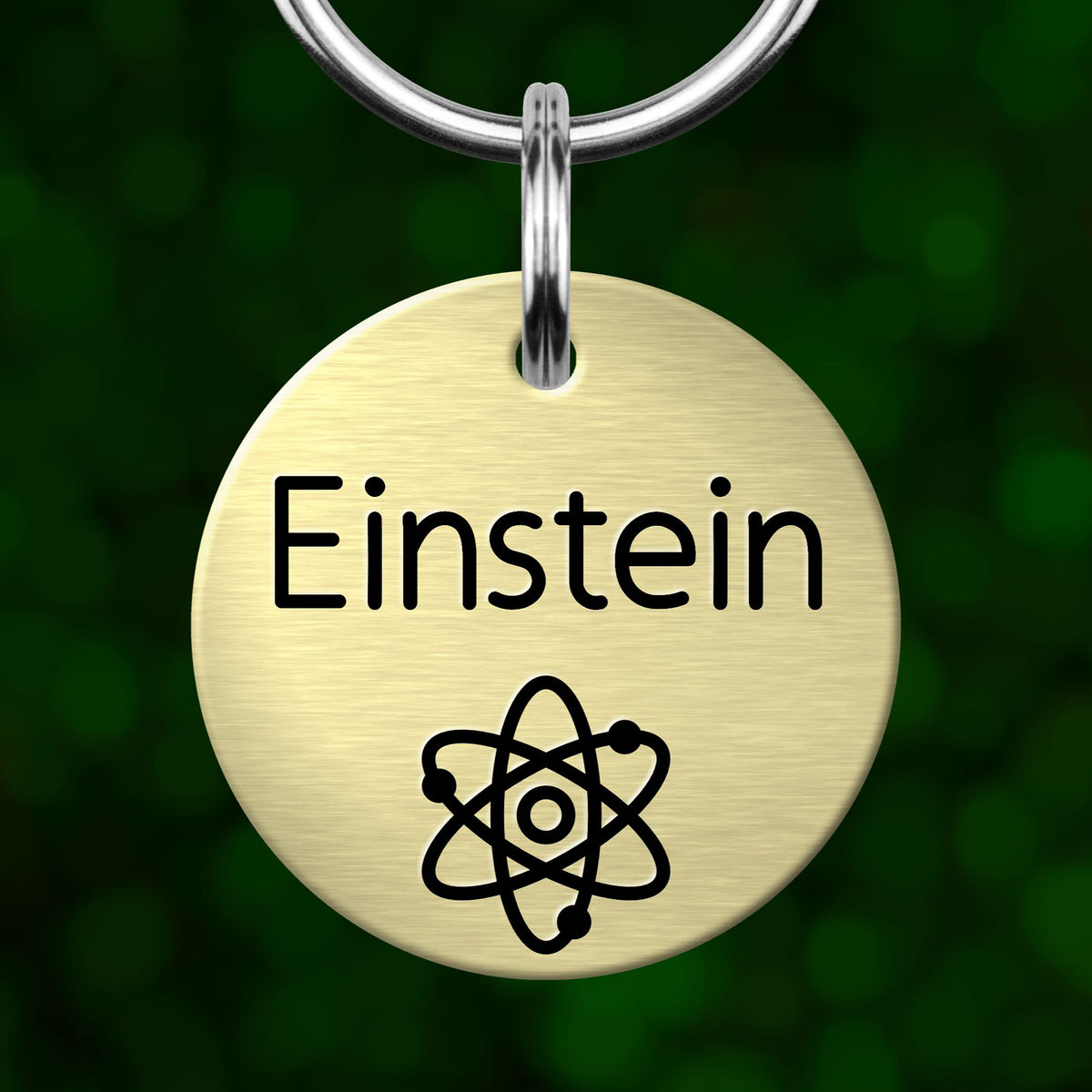 A round metal pet tag with the name "Einstein" and an image of an atom or molecule, set against a blurred green background.