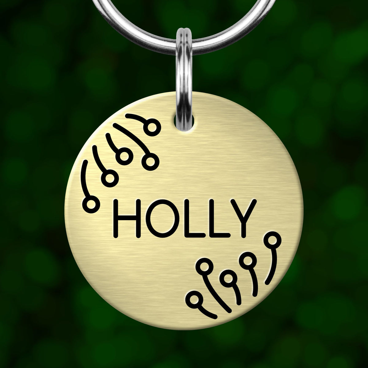 A round, gold-colored pet tag with the name "Holly" printed on it, hanging from a metal loop.
