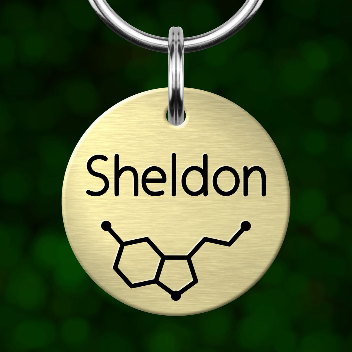 A round metal keychain tag with the name "Sheldon" printed on it, along with a simple chemical structure symbol.