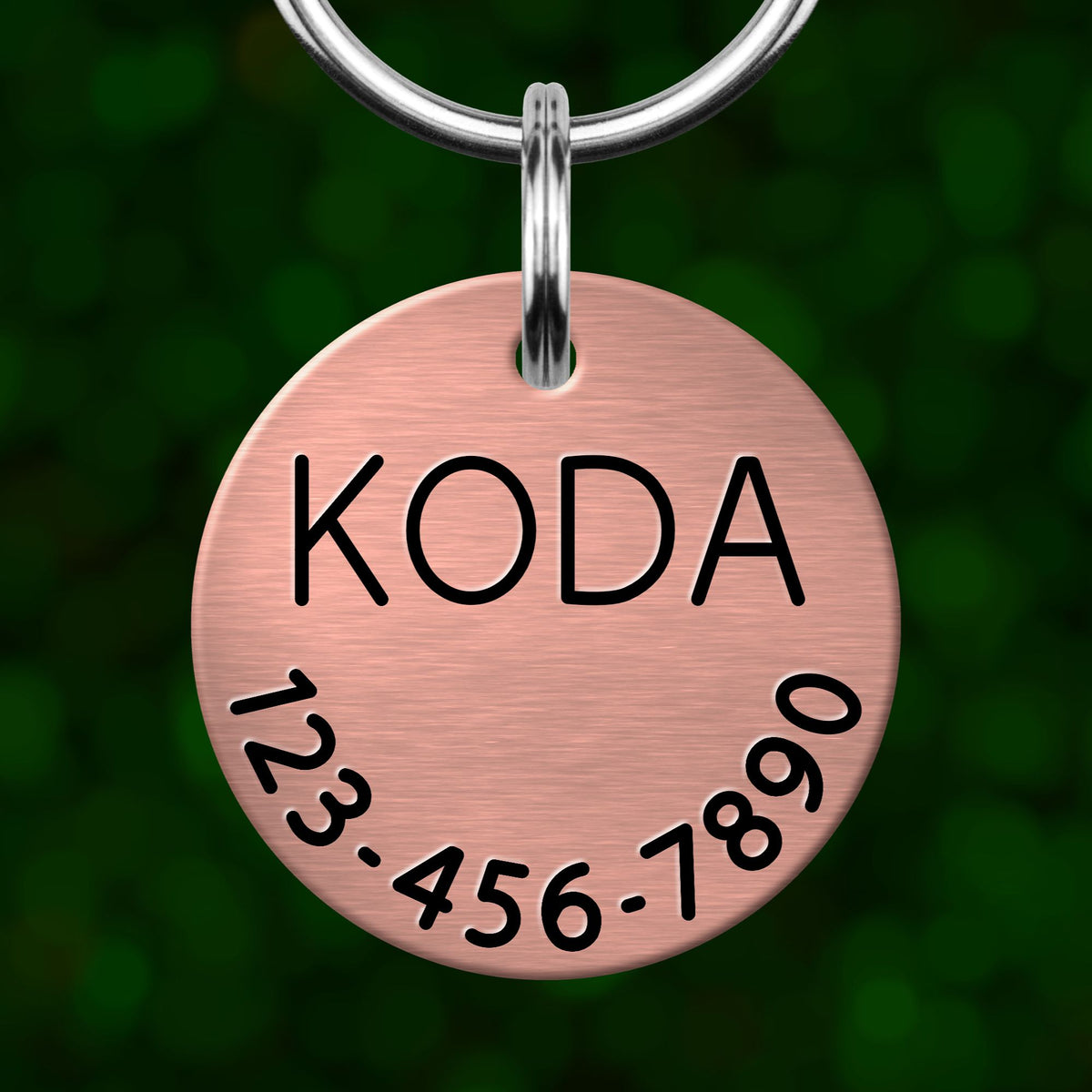 A copper-colored metal pet tag with the name "KODA" and a phone number "123-456-7890" printed on it.