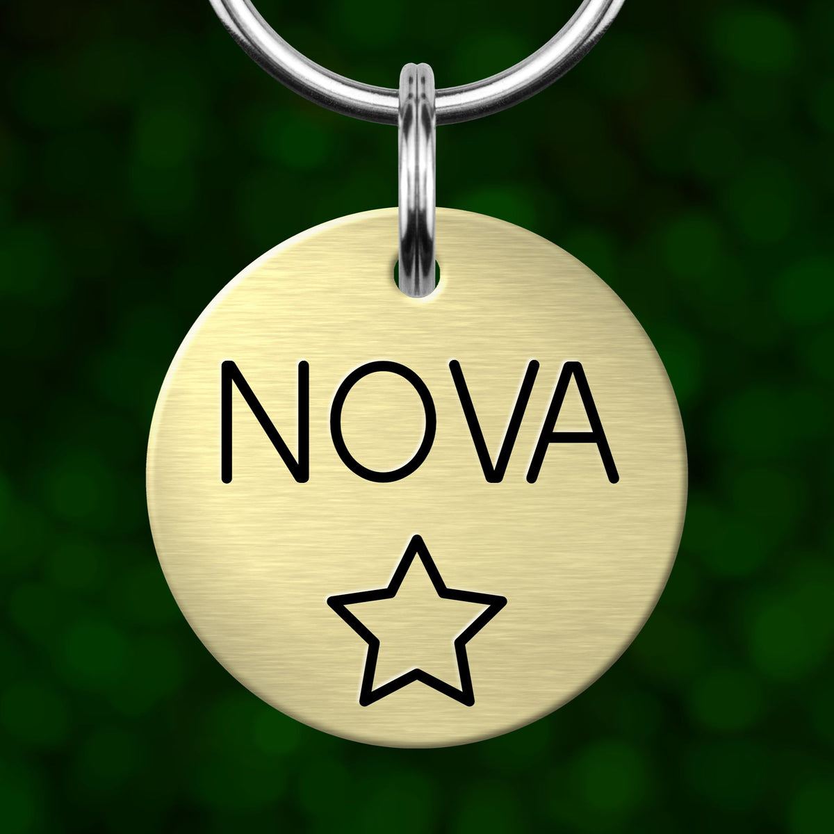 A round metal pet tag with the word "NOVA" printed on it, hanging from a metal hook.