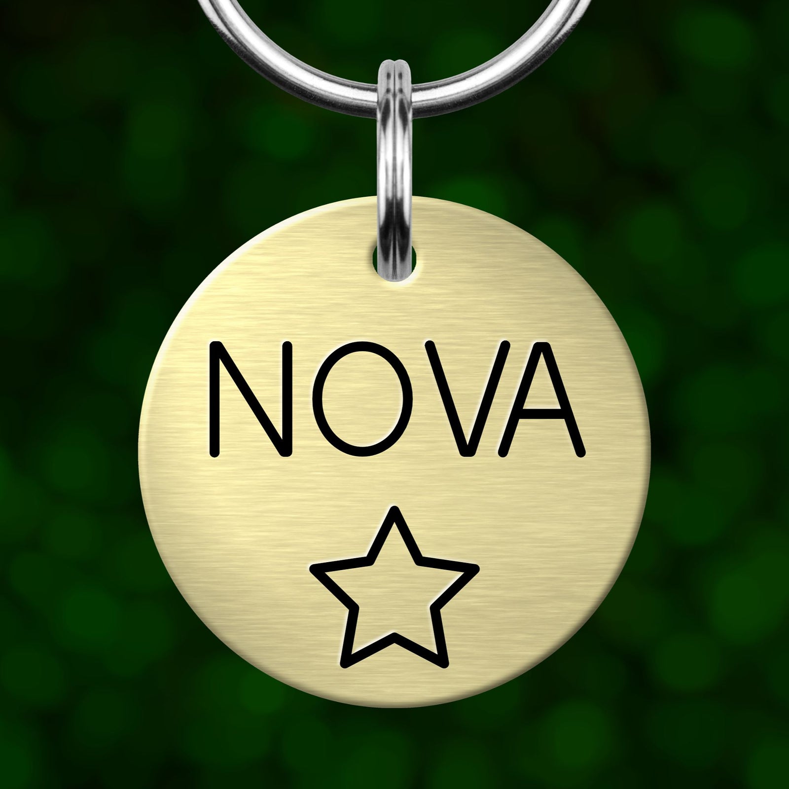 A round metal pet tag with the word "NOVA" printed on it, hanging from a metal hook.