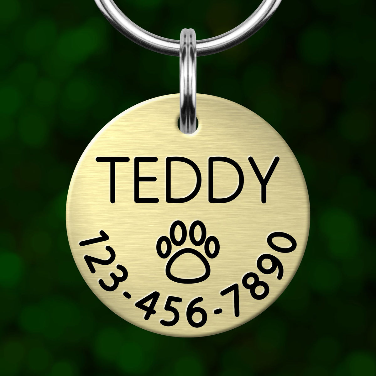 A round metal pet tag with the name "TEDDY" and a paw print symbol, along with a phone number.