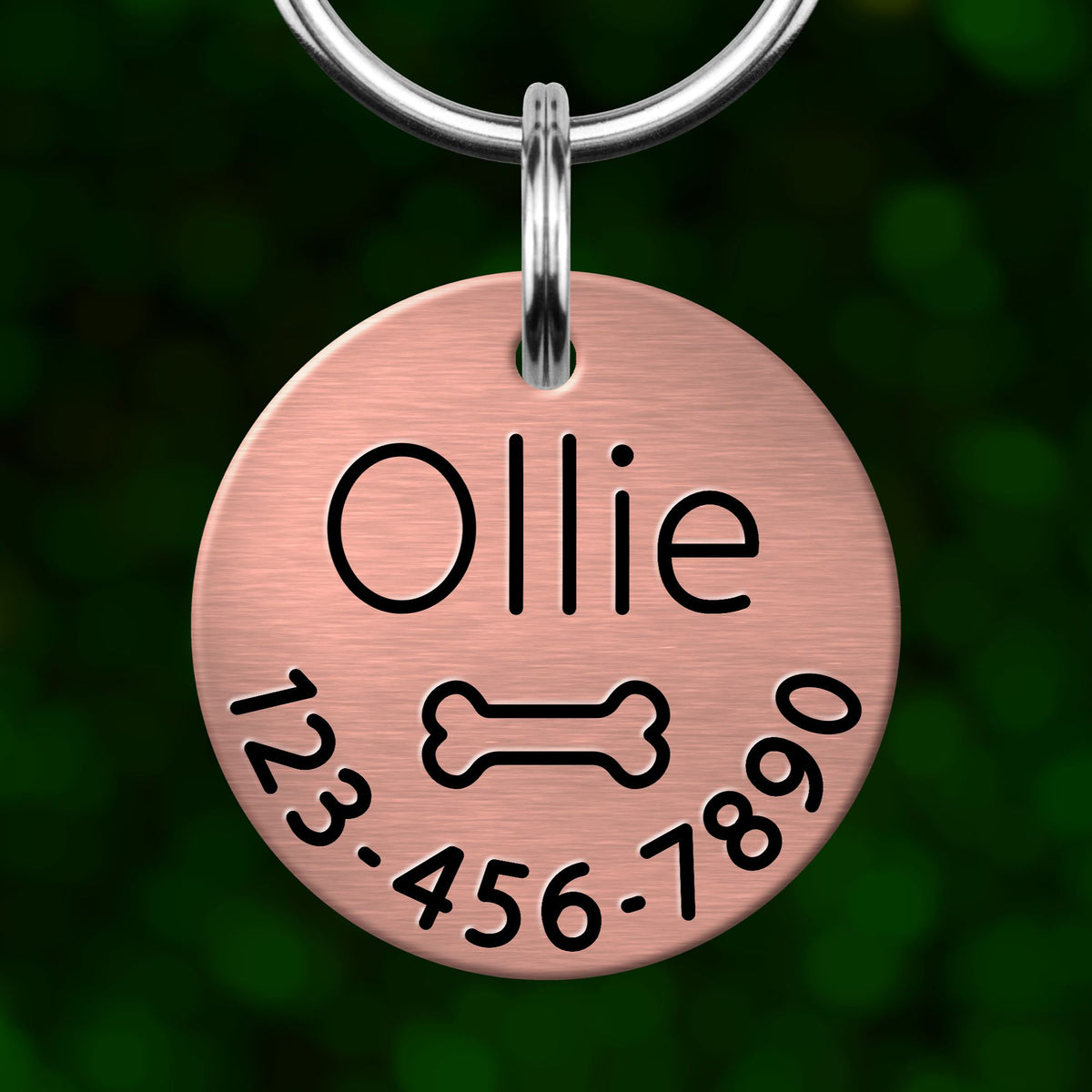 A copper-colored pet tag with the name "Ollie" and a bone symbol, along with a phone number.