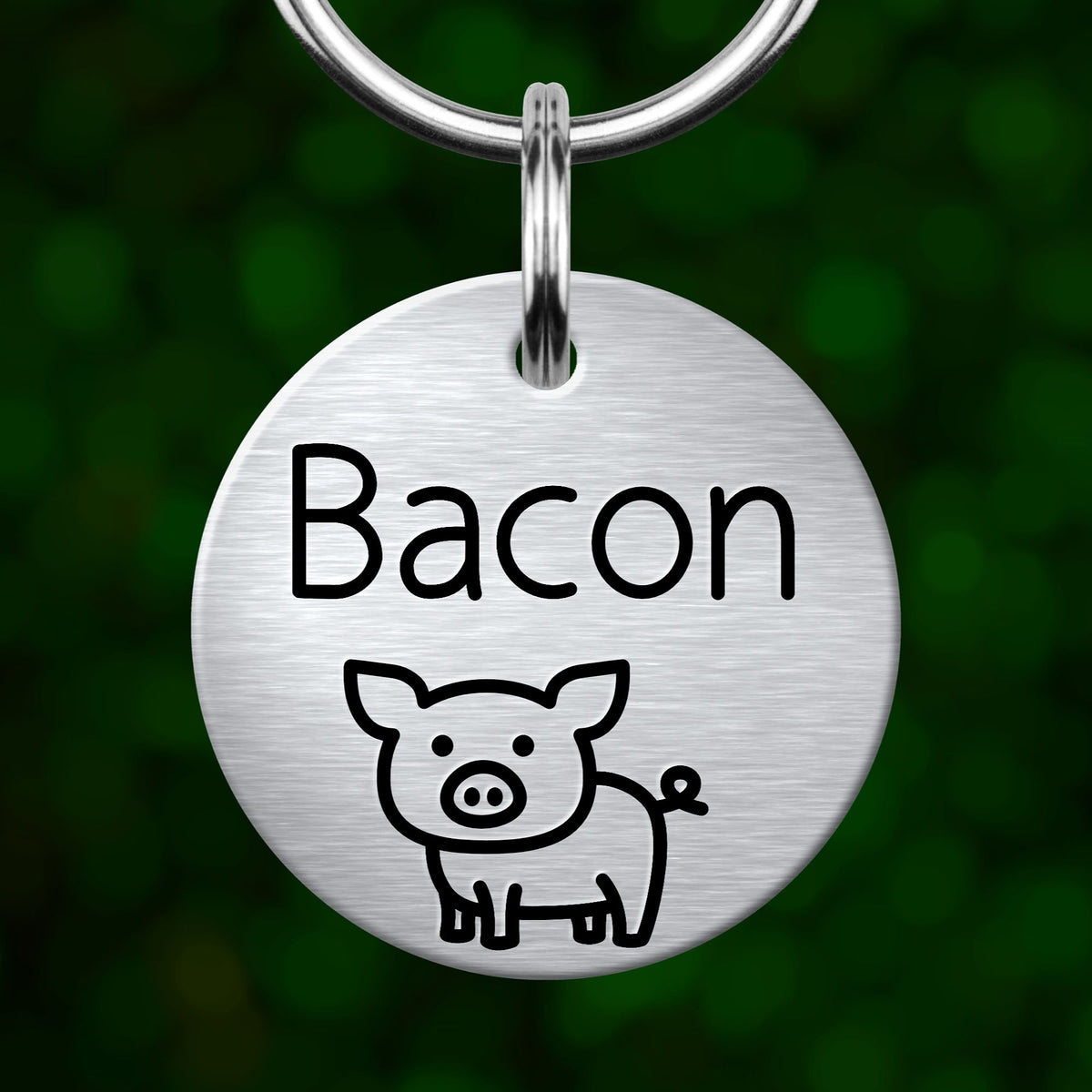 A round metal pet tag with the word "Bacon" printed on it, featuring a simple illustration of a pig.