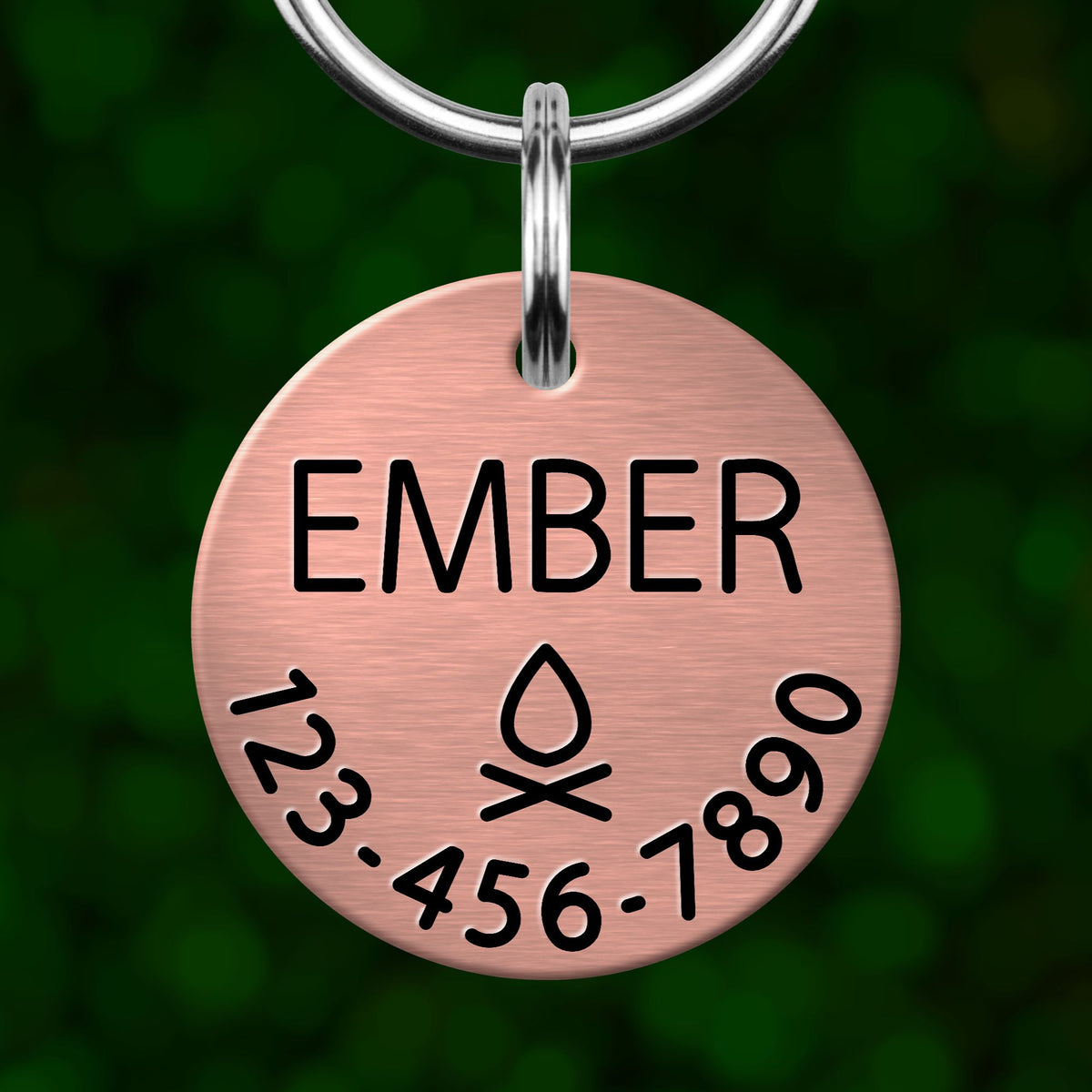A copper-colored pet name tag with the name "EMBER" printed on it, along with a phone number and a symbol.