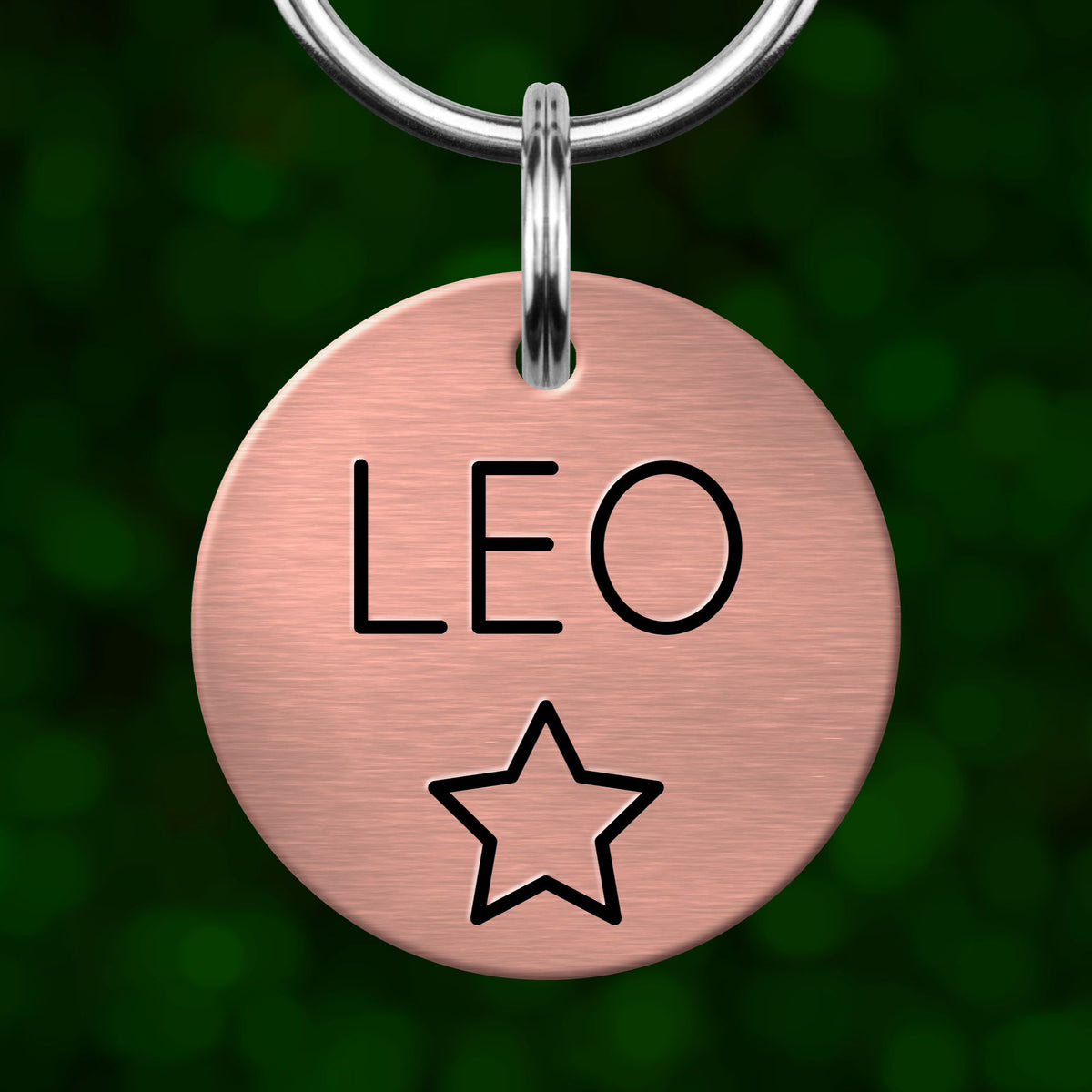 A round metal pet tag with the name "LEO" and a star symbol printed on it.