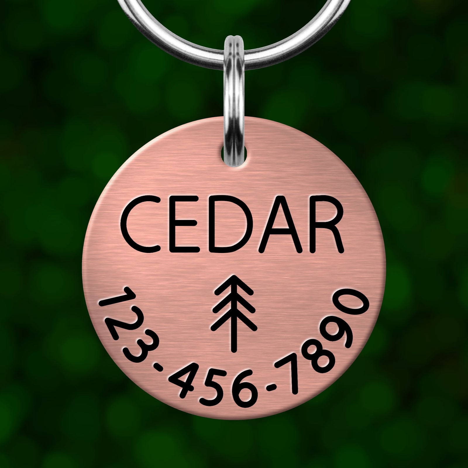 A copper-colored metal pet tag with the word "CEDAR" printed on it, along with a phone number and a tree symbol.