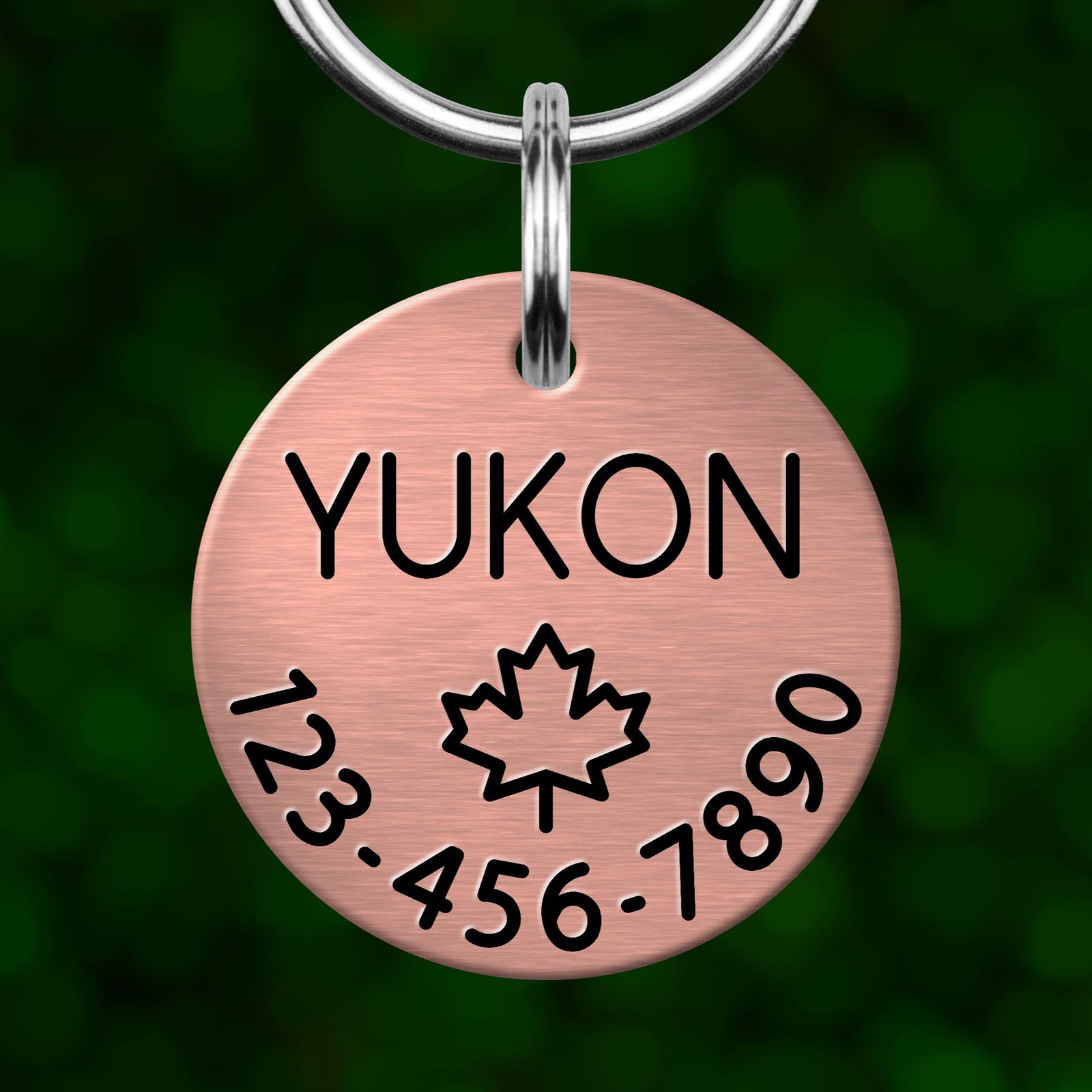 A copper-colored pet tag with the name "YUKON" printed on it, along with a maple leaf symbol and a phone number.