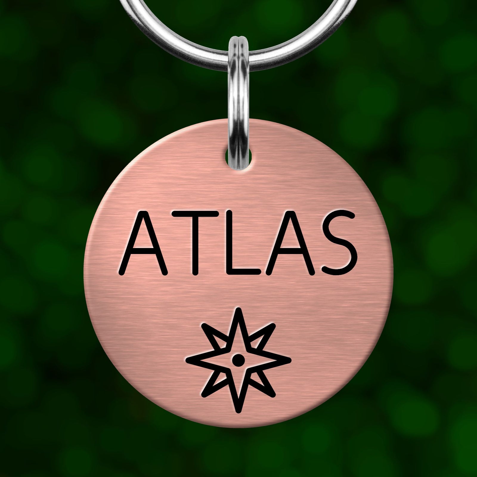 A round metal pet tag with the word "ATLAS" printed on it, hanging from a metal hook.