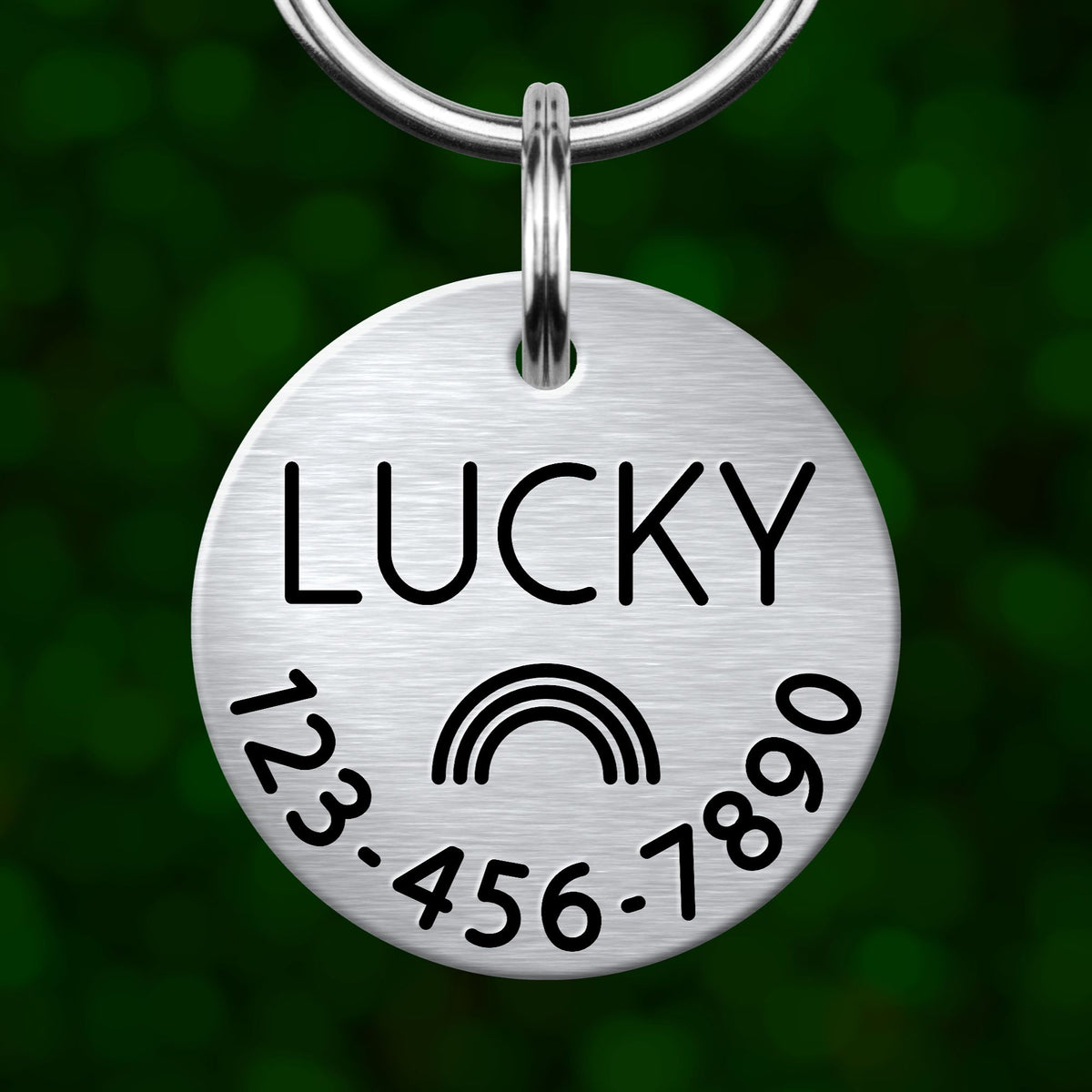 A silver-colored metal pet tag with the word "Lucky" printed on it, along with a phone number below.