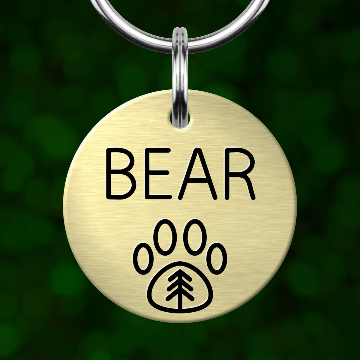 A round metal pet tag with the word "BEAR" printed on it, along with a paw print symbol.