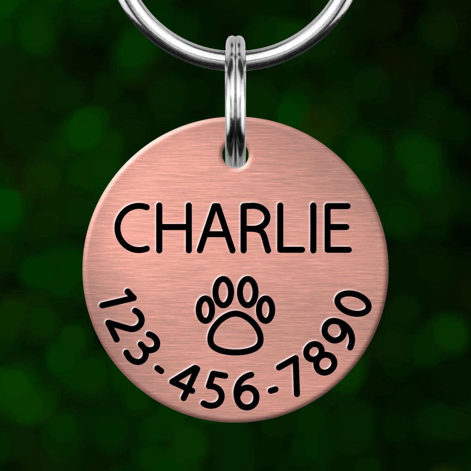 A copper-colored pet name tag with the name "CHARLIE" and a paw print symbol, along with the numbers "123-456-7890".