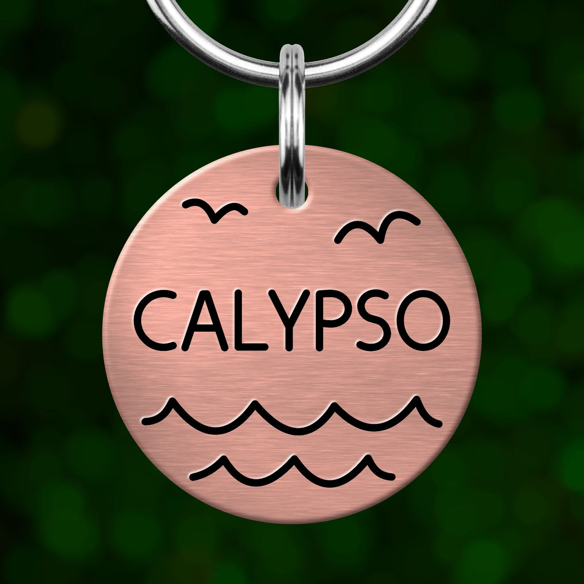 A round metal pet tag with the word "CALYPSO" printed on it, hanging from a metal loop.