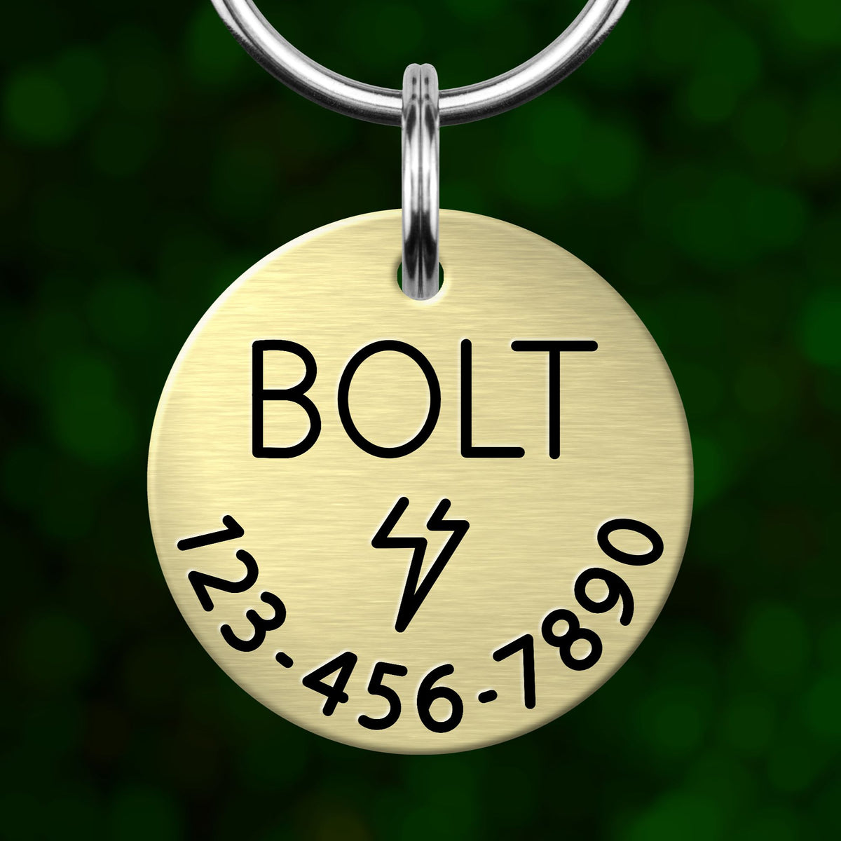 A round metal pet tag with the word "BOLT" printed on it, along with a phone number and a lightning bolt symbol.