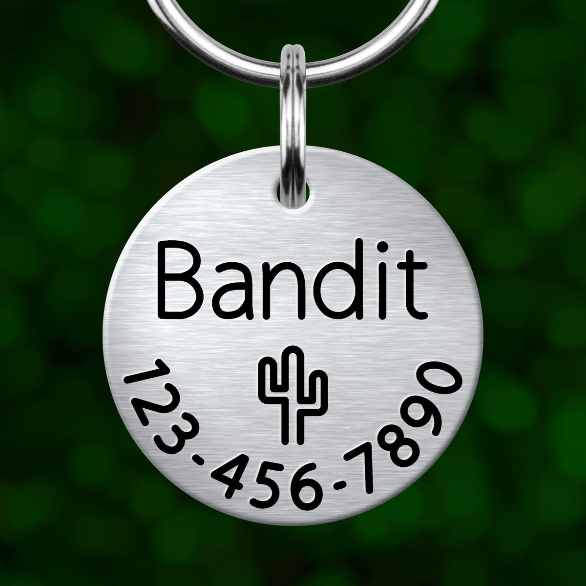 A silver-colored metal pet tag with the name "Bandit" printed on it, along with a phone number and a cactus symbol.