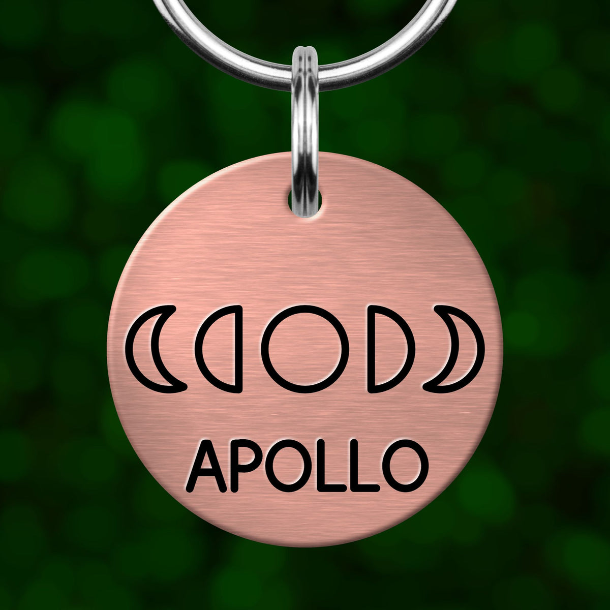 A round metal pet tag with the name 'APOLLO' printed on it, hanging from a metal loop.