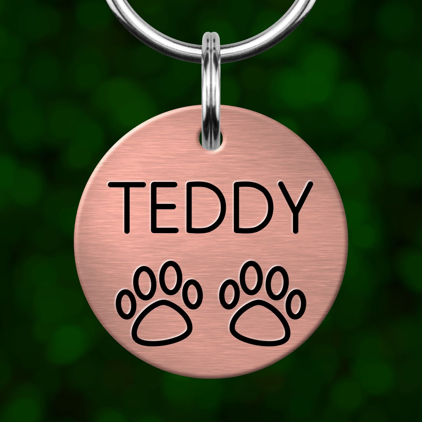A round metal pet tag with the name "TEDDY" and paw prints printed on it.
