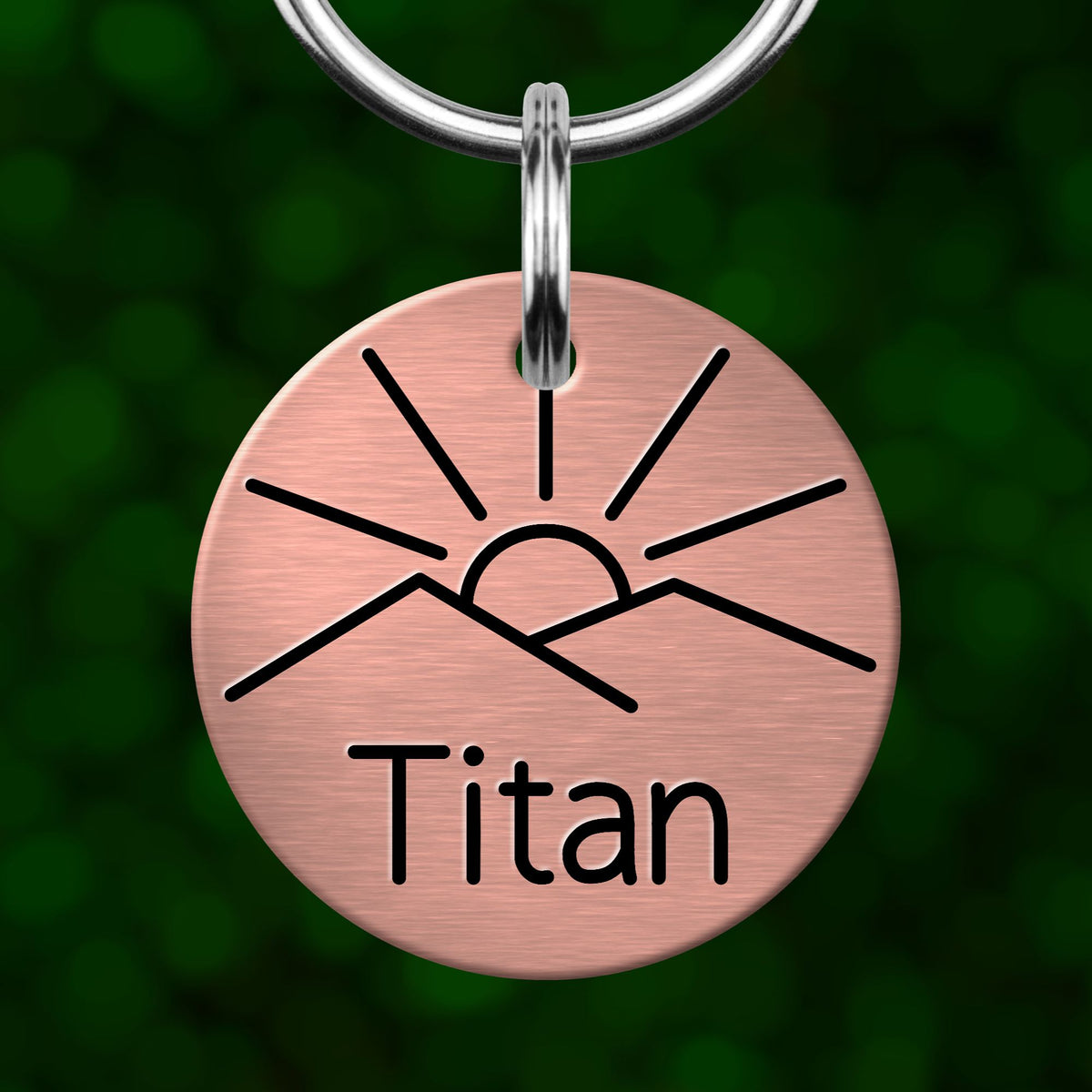 A round metal keychain tag with a sun-like symbol and the word "Titan" printed on it.