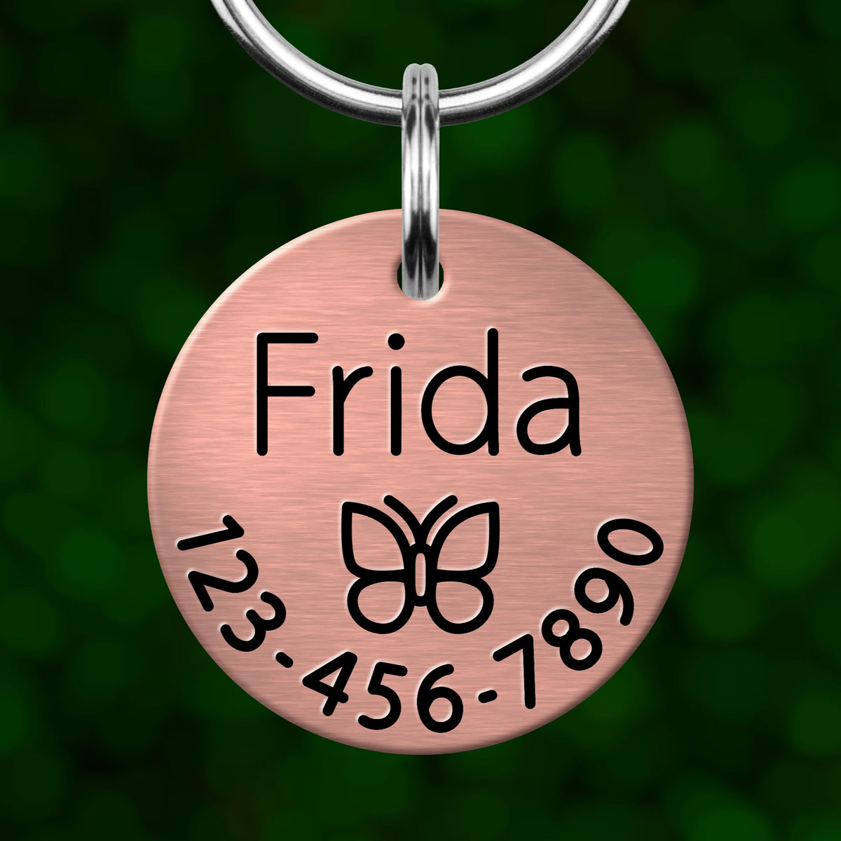 A round metal pet tag with the name "Frida" and a butterfly symbol printed on it, hanging from a metal loop.