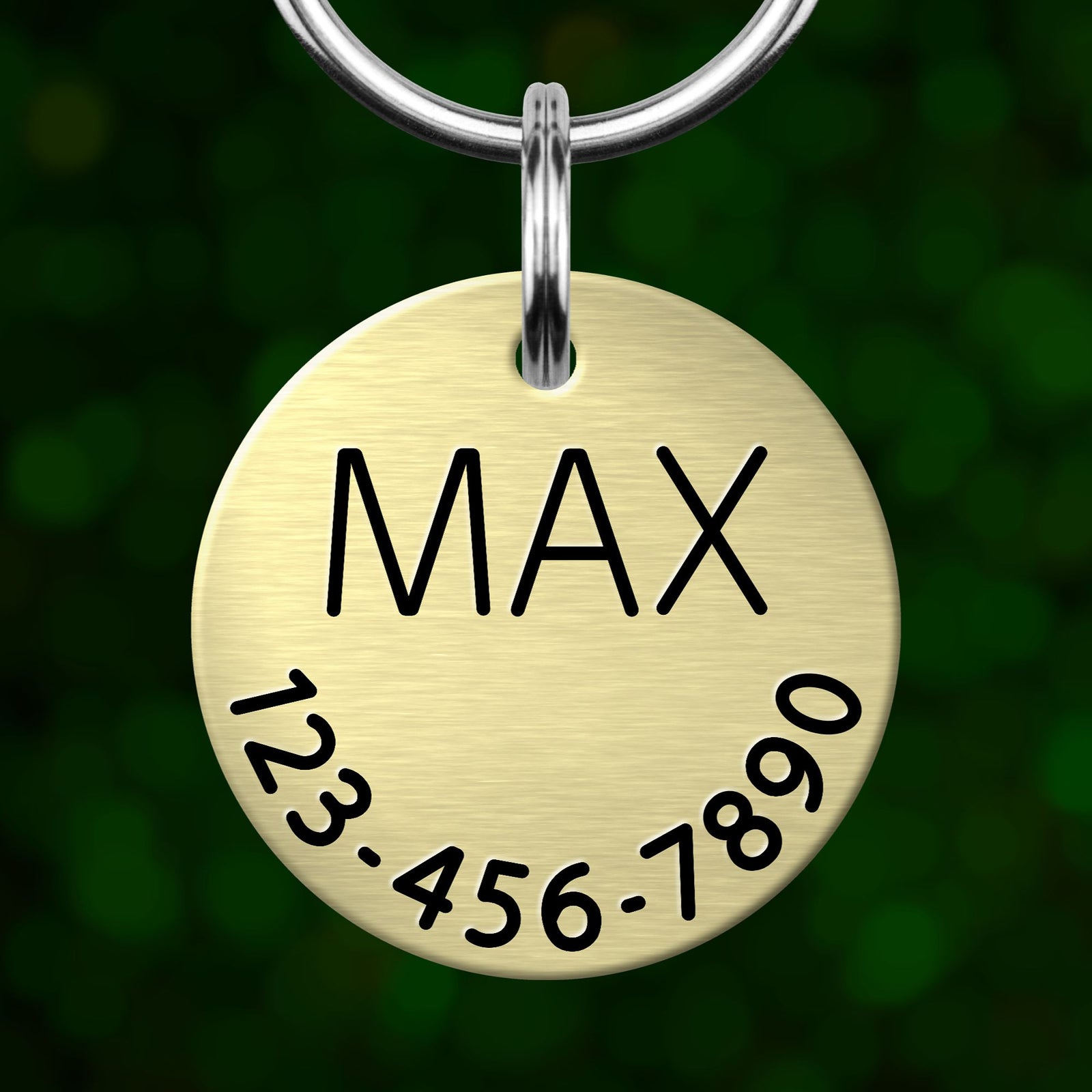 A round metal pet tag with the name "MAX" printed on it, along with a phone number.