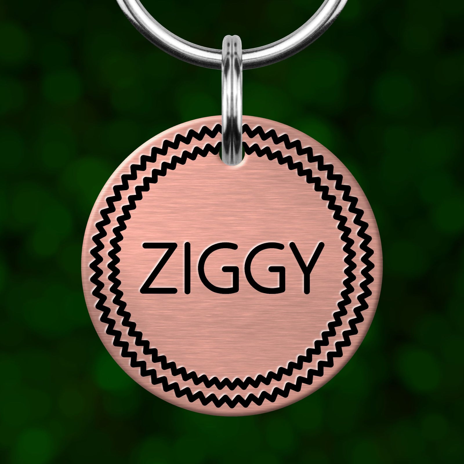 A round, metallic dog tag with the name "ZIGBY" printed on it, hanging from a metal loop.