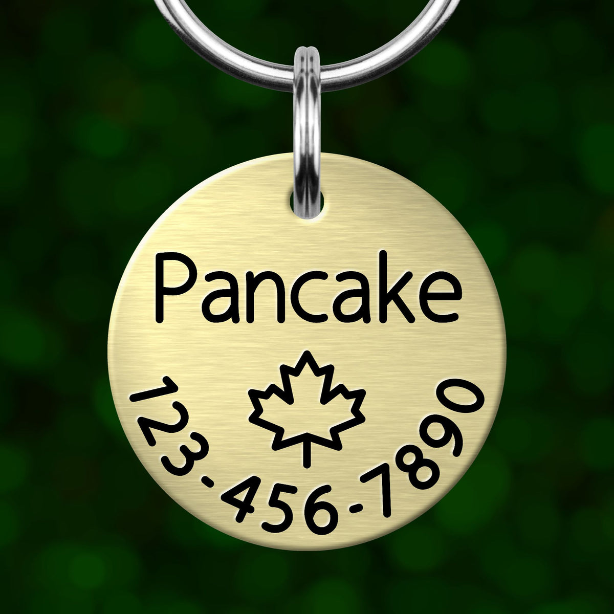 A round metal pet tag with the word "Pancake" printed on it, along with a maple leaf symbol and a phone number.