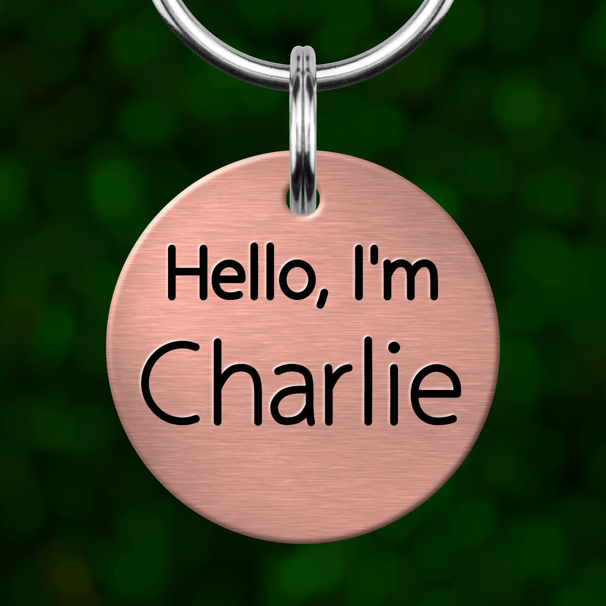 A round metal pet tag with the text "Hello, I'm Charlie" printed on it.