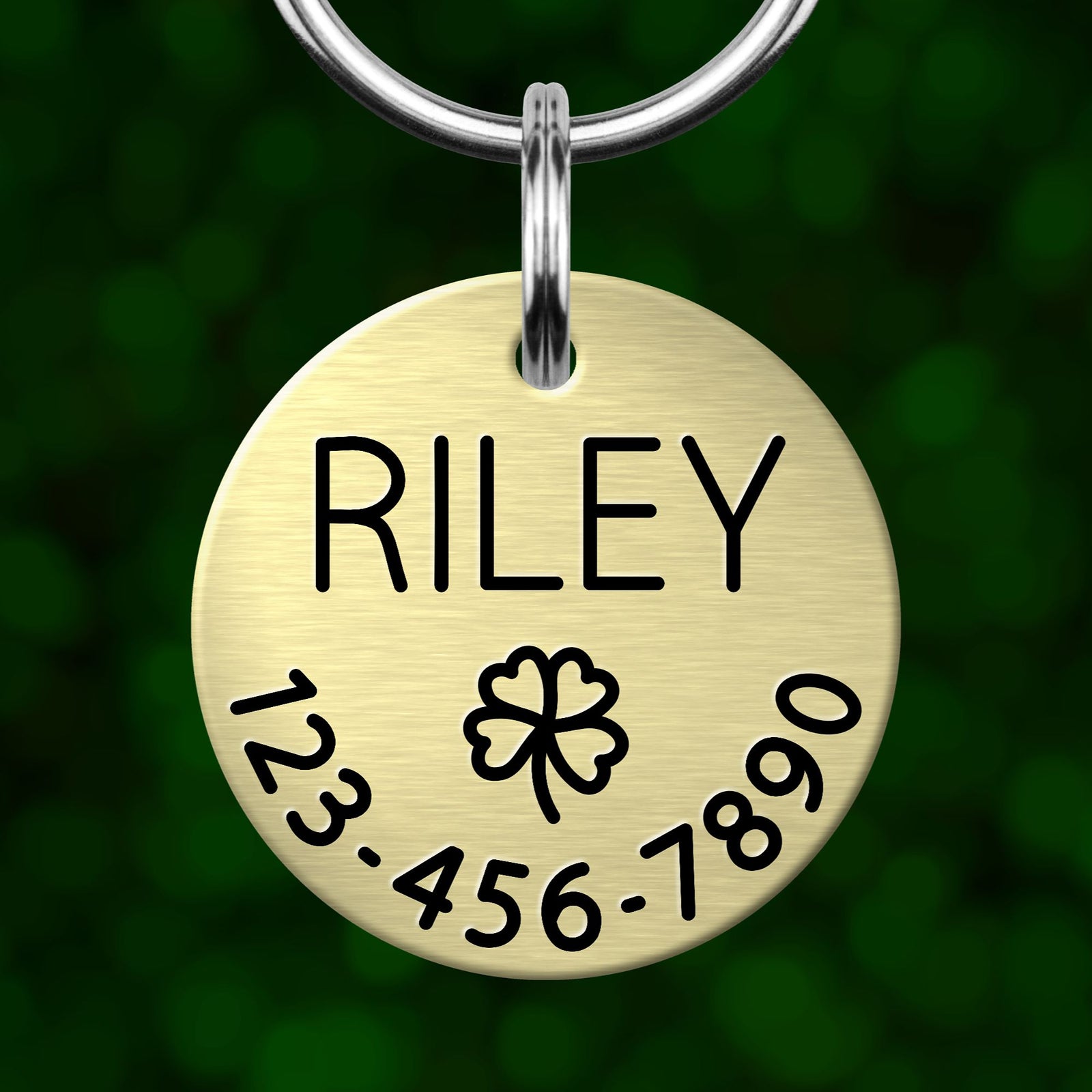 A round metal pet tag with the name "Riley" and contact information, including a cloverleaf symbol and a phone number.