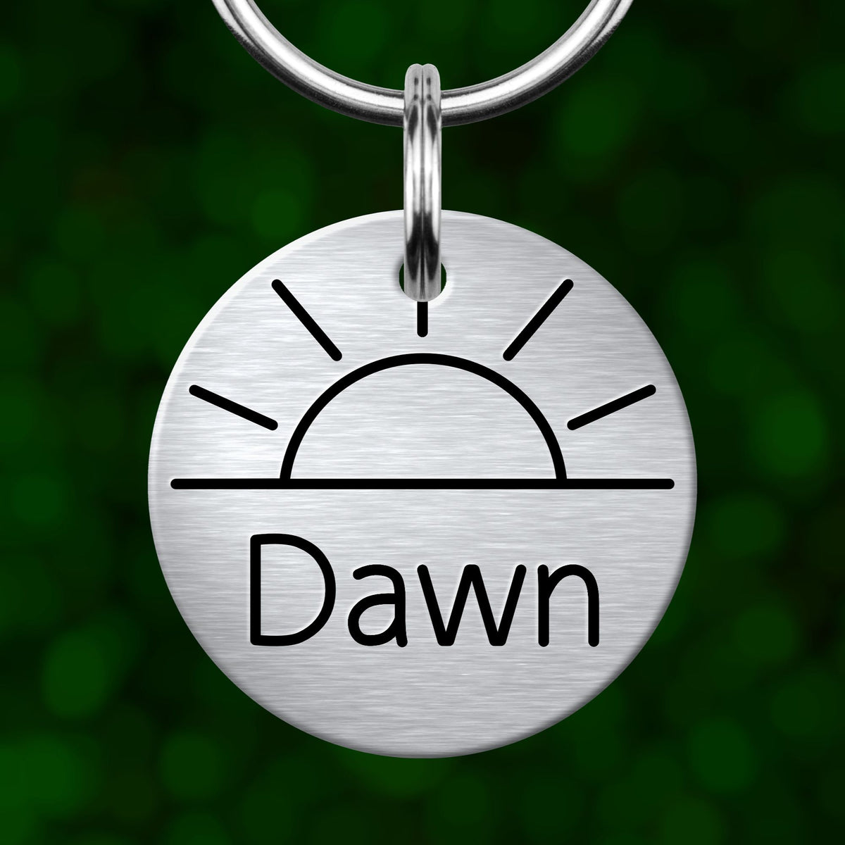 A silver circular pet tag with a sun symbol and the name "Dawn" printed on it.