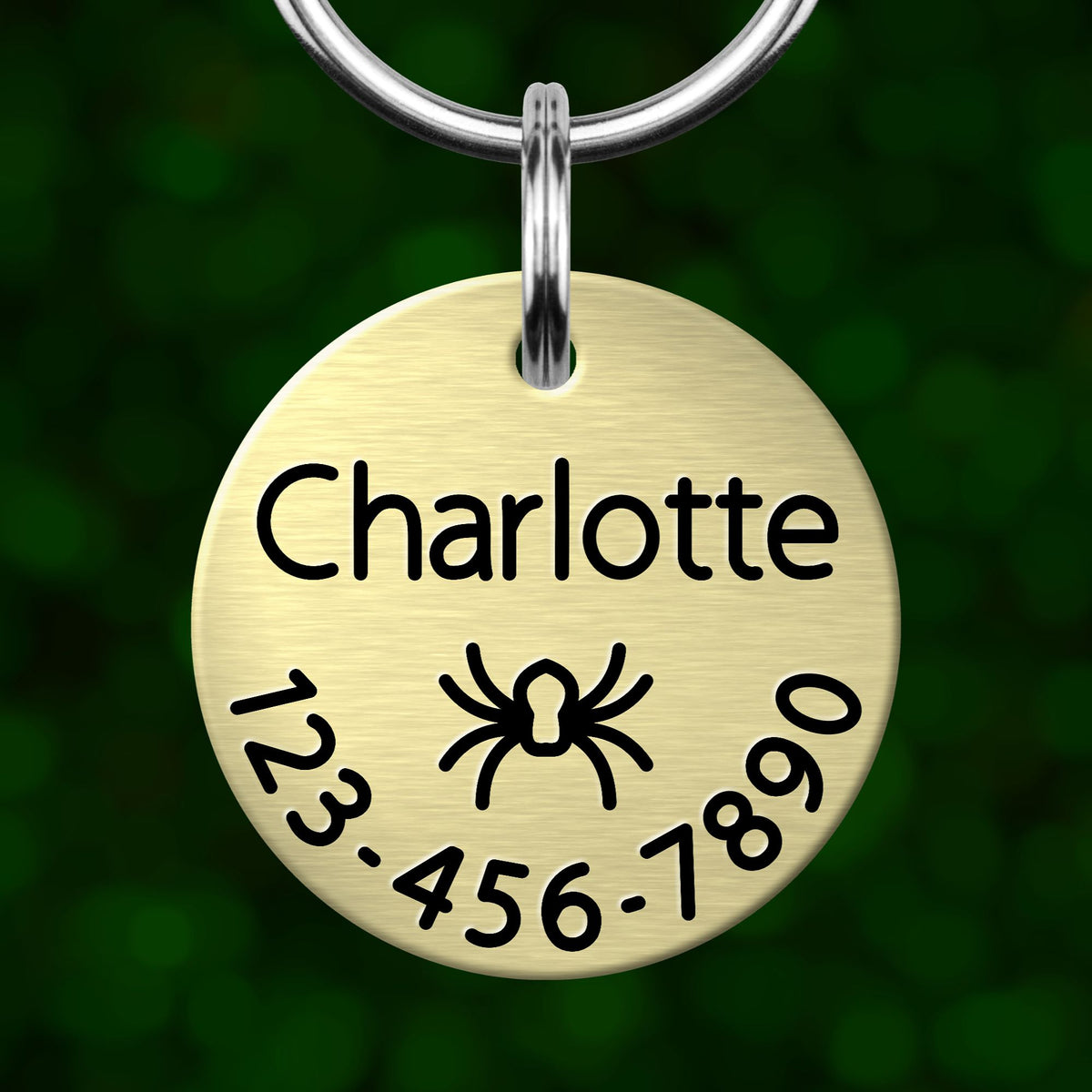 A round metal pet tag with the name "Charlotte" and a spider icon, along with the numbers "123-456-7890".