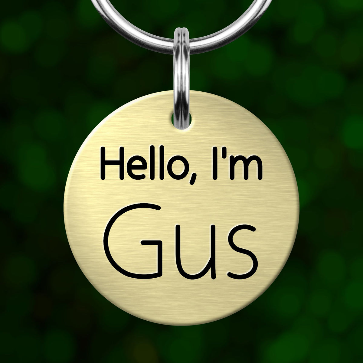 A round metal pet tag with the text "Hello, I'm Gus" printed on it.