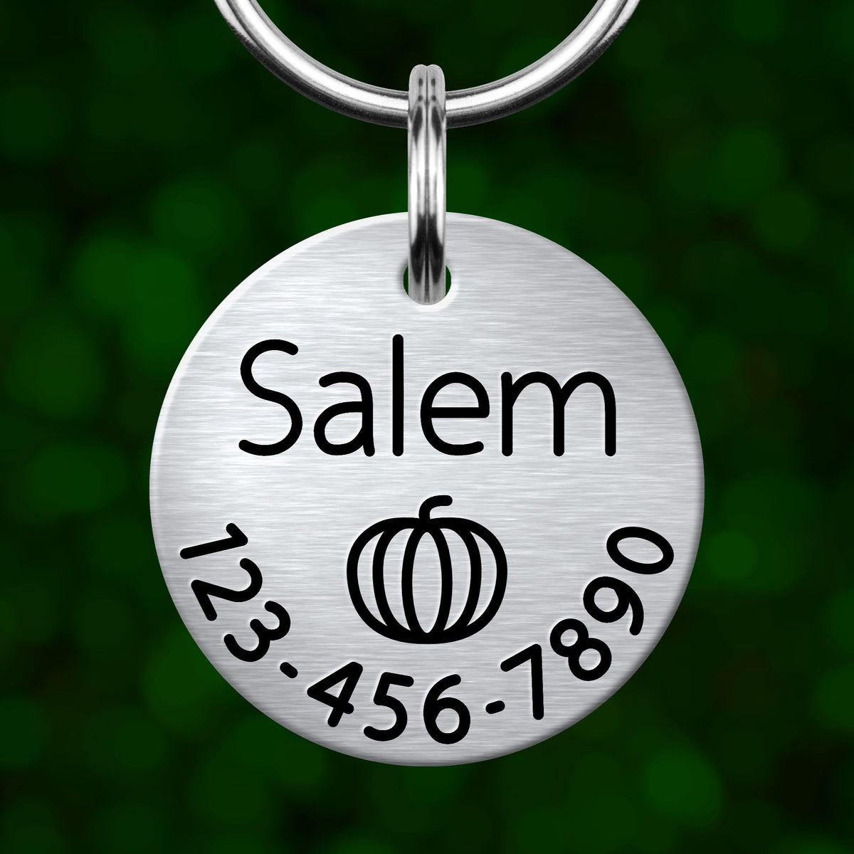 A silver-colored metal pet tag with the name "Salem" and a pumpkin icon, along with the numbers "123-456-7890".