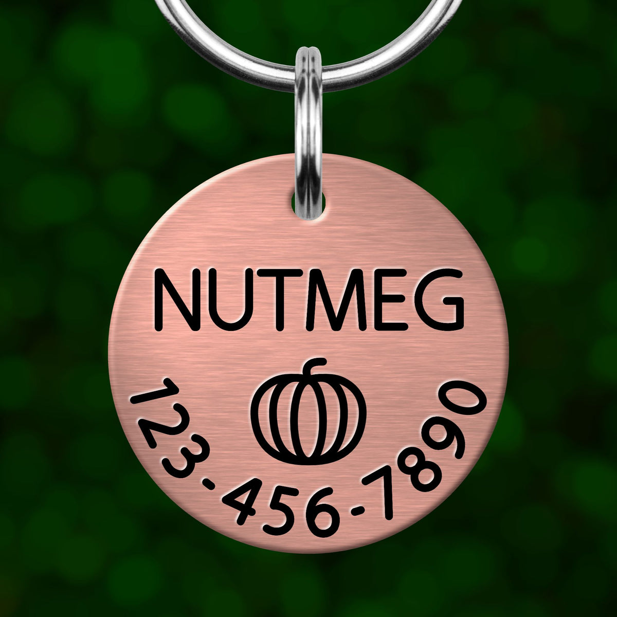 A copper-colored pet name tag with the name "NUTMEG" printed on it, along with a phone number "123-456-7890".