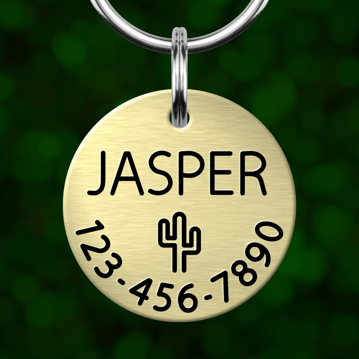 A round metal pet tag with the name "JASPER" printed on it, along with a phone number and a cactus symbol.