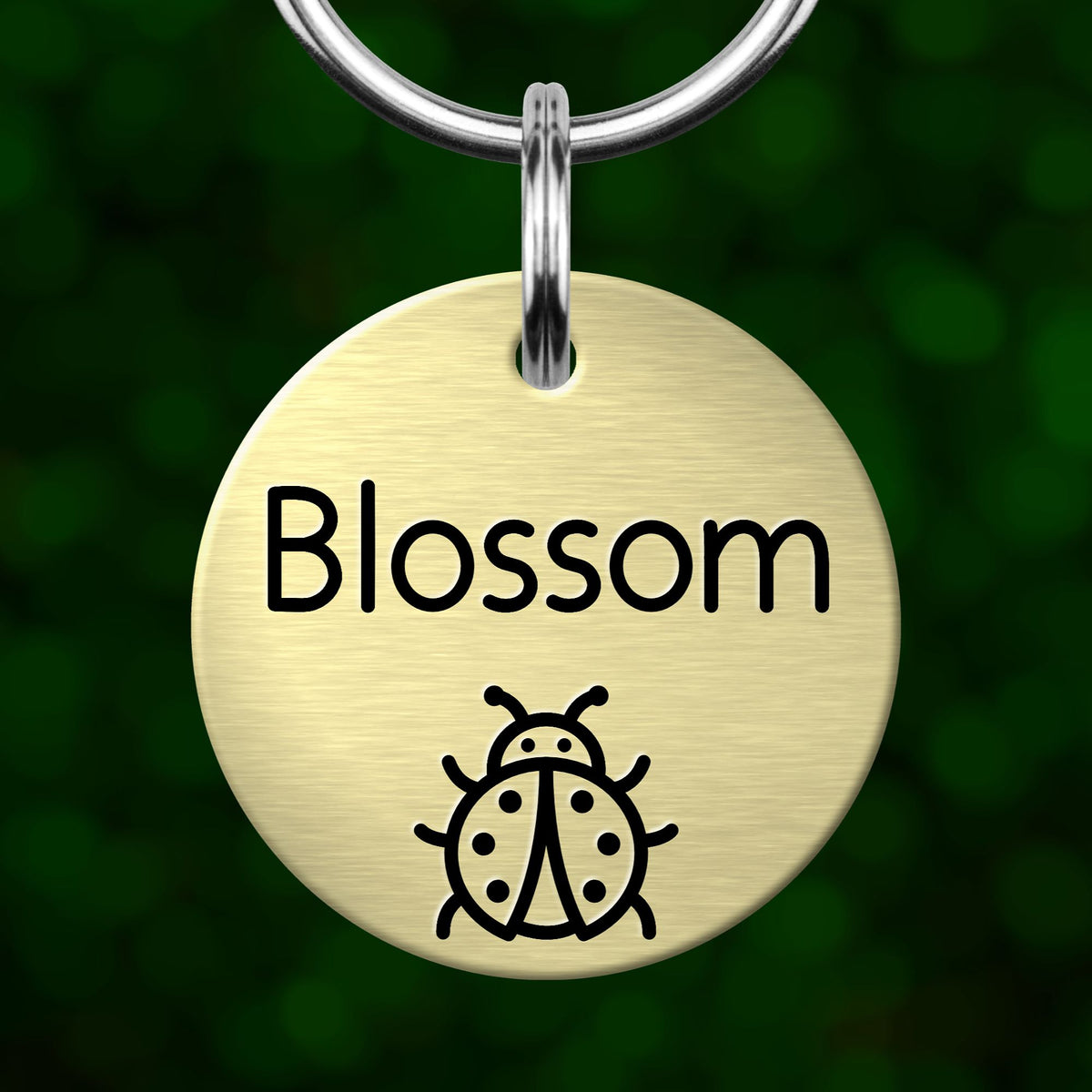 Ladybug Dog Tag