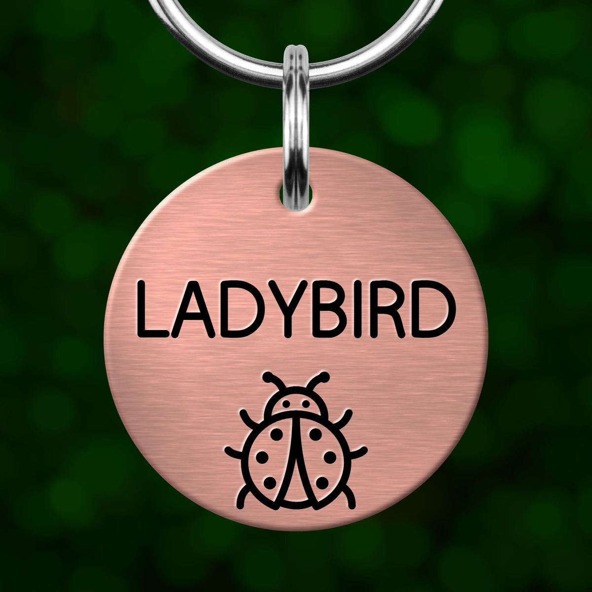 Ladybug Dog Tag