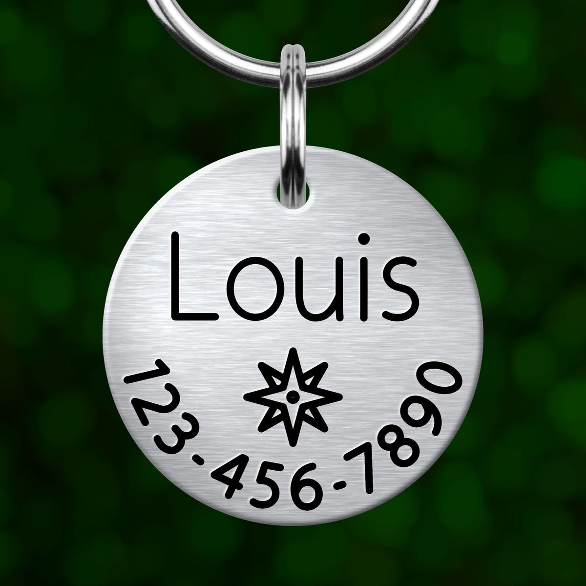 A silver-colored metal pet tag with the name "Louis" and a star symbol, along with a phone number.