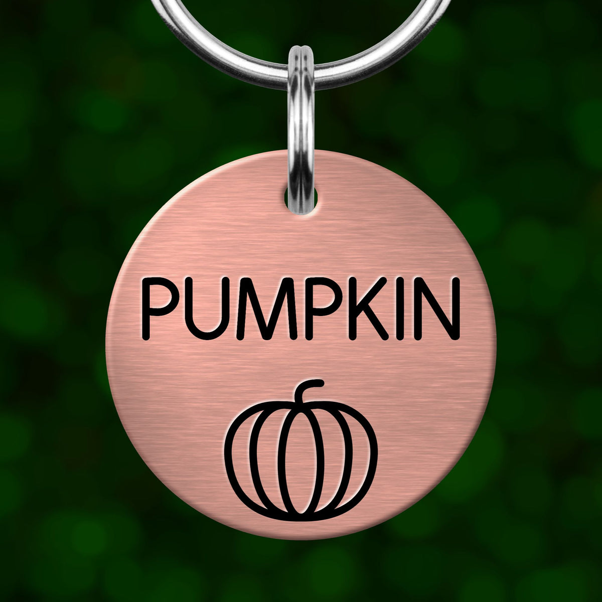 A round metal pet tag with the word "PUMPKIN" printed on it, along with a simple pumpkin icon.