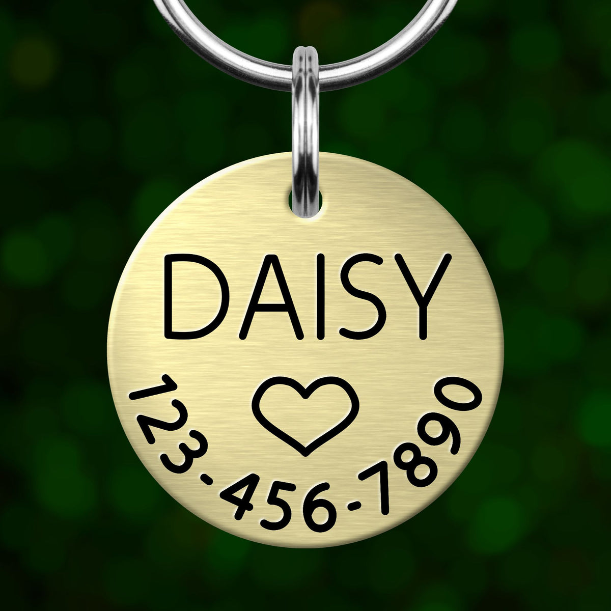 A round metal pet tag with the name 'DAISY' and a heart symbol, along with a phone number '123-456-7890'.