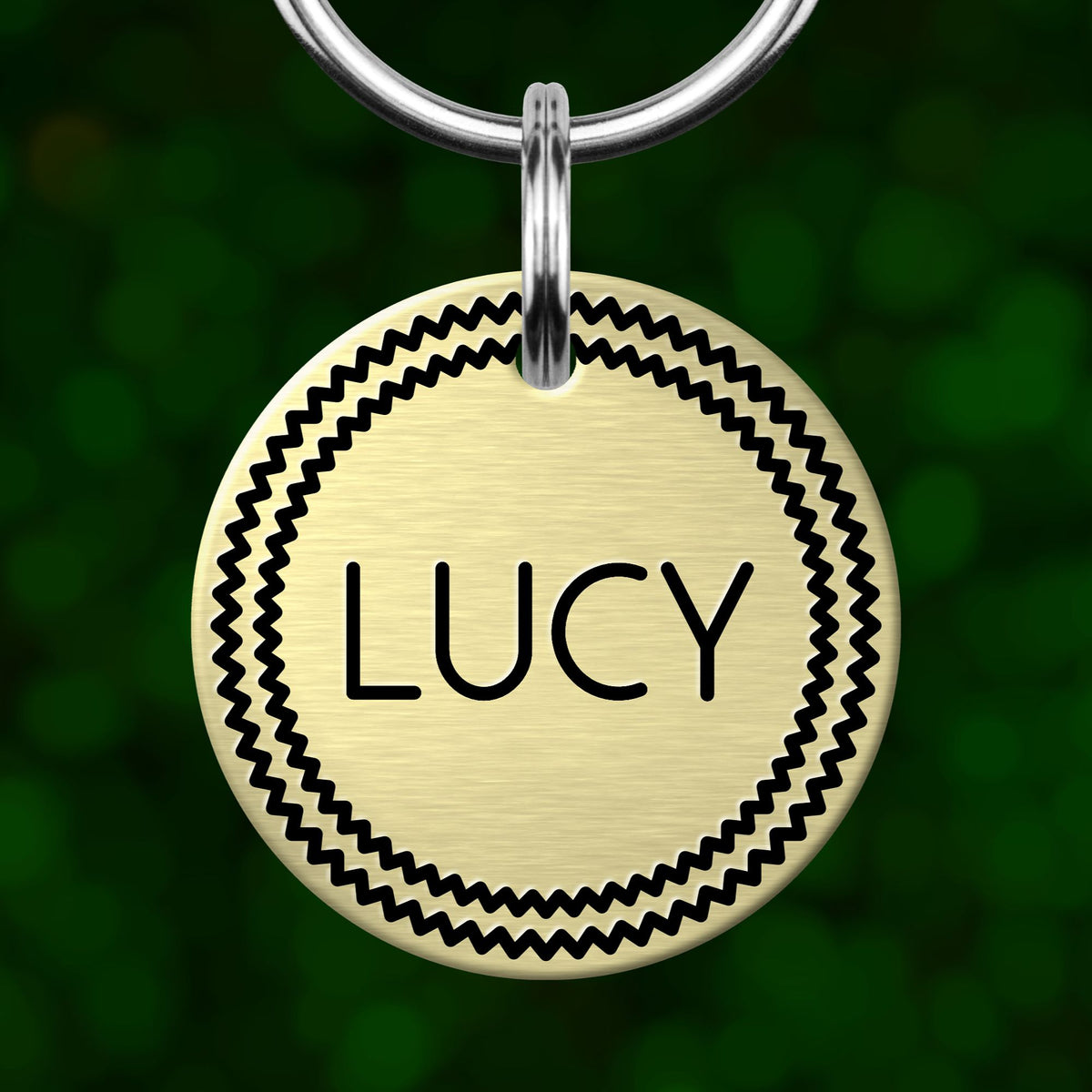 A round, gold-colored pet tag with the name "LUCY" printed on it, hanging from a metal loop.