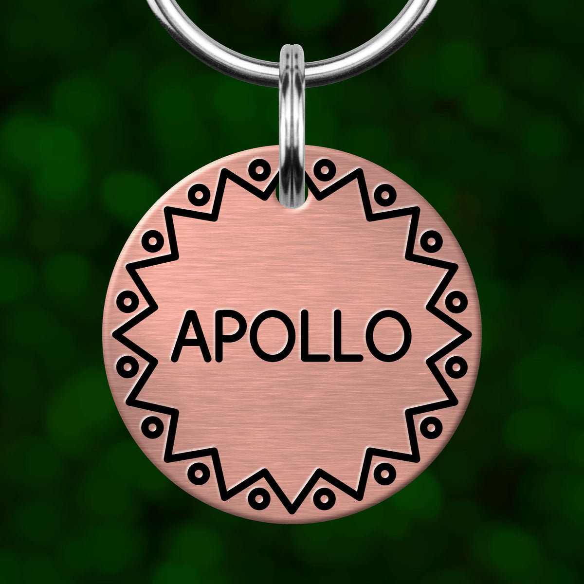 A round metal tag with the word "APOLLO" printed on it, hanging from a metal loop.