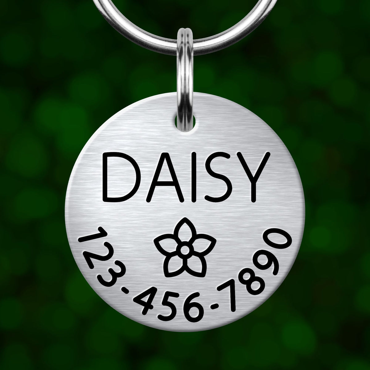 A silver-colored metal pet tag with the name "DAISY" printed on it, along with a flower symbol and a phone number.