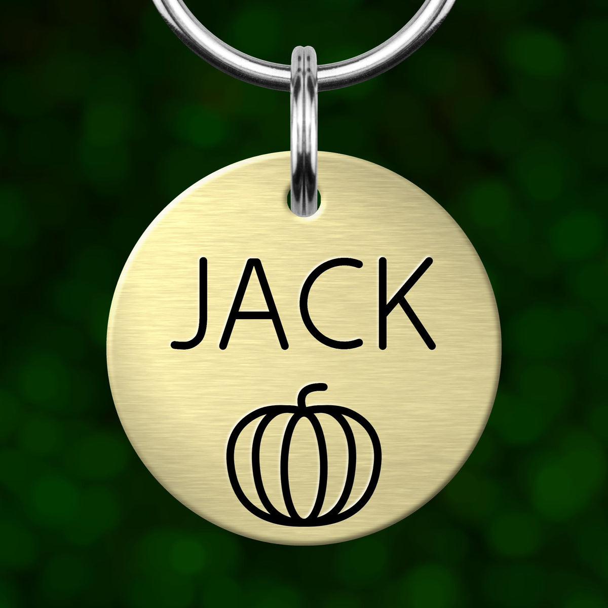 A round metal pet tag with the name "JACK" printed on it, hanging from a metal loop.