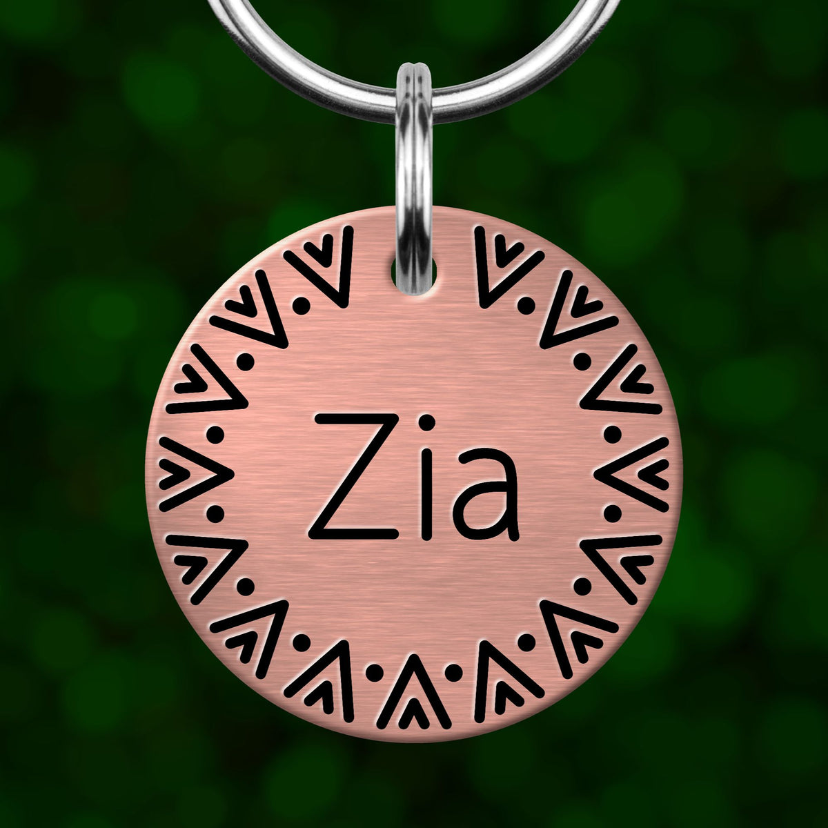 A round metal pet tag with the name 'Zia' engraved on it, hanging from a metal loop.